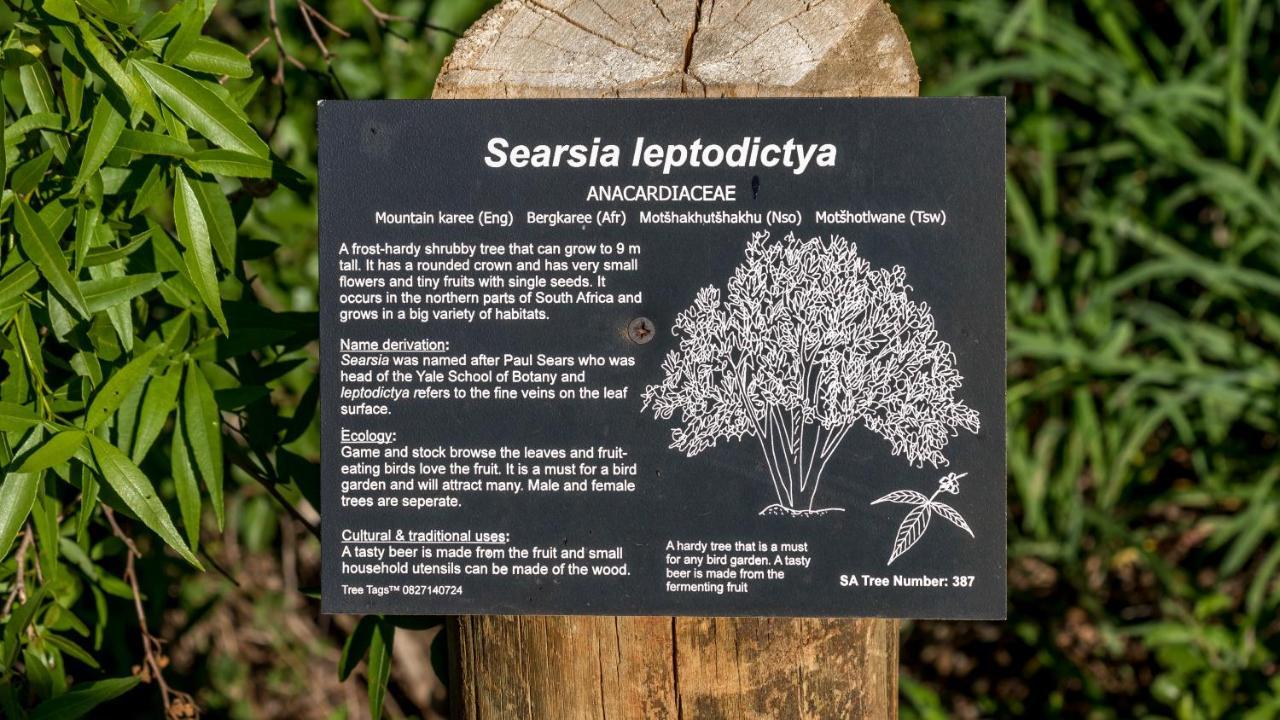 Iketla Lodge Ohrigstad Luaran gambar